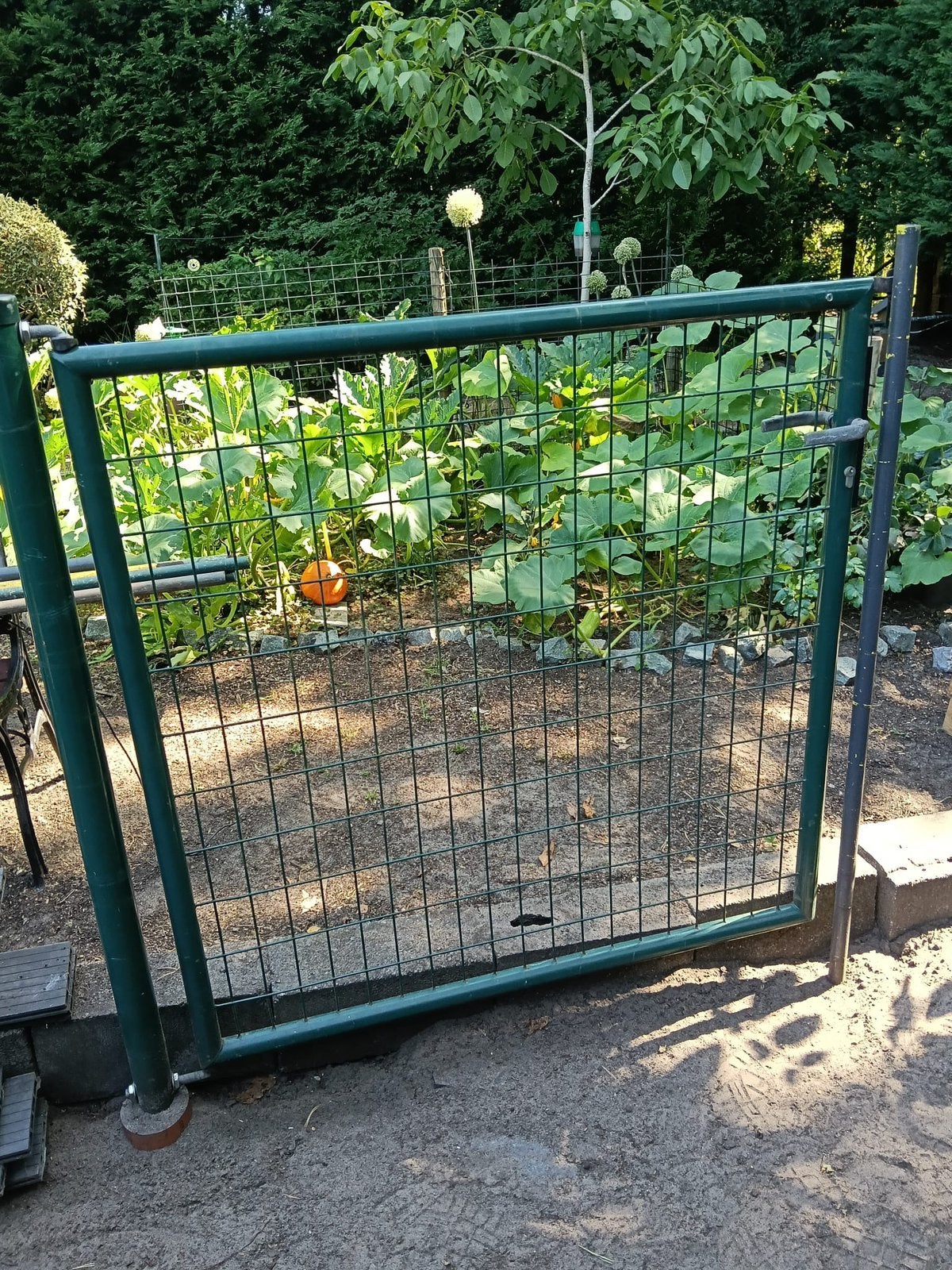 Tuinpoortjes 110 x110 cm, Ophalen, Met poort, Gebruikt, Gaashekwerk