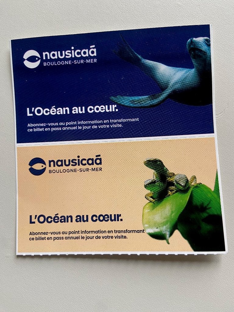 2 tickets Nautica / Nausicaa Boulogne-sur-mer, Tickets & Billets, Loisirs | Parcs d'attractions, Deux personnes, Ticket ou Carte d'accès
