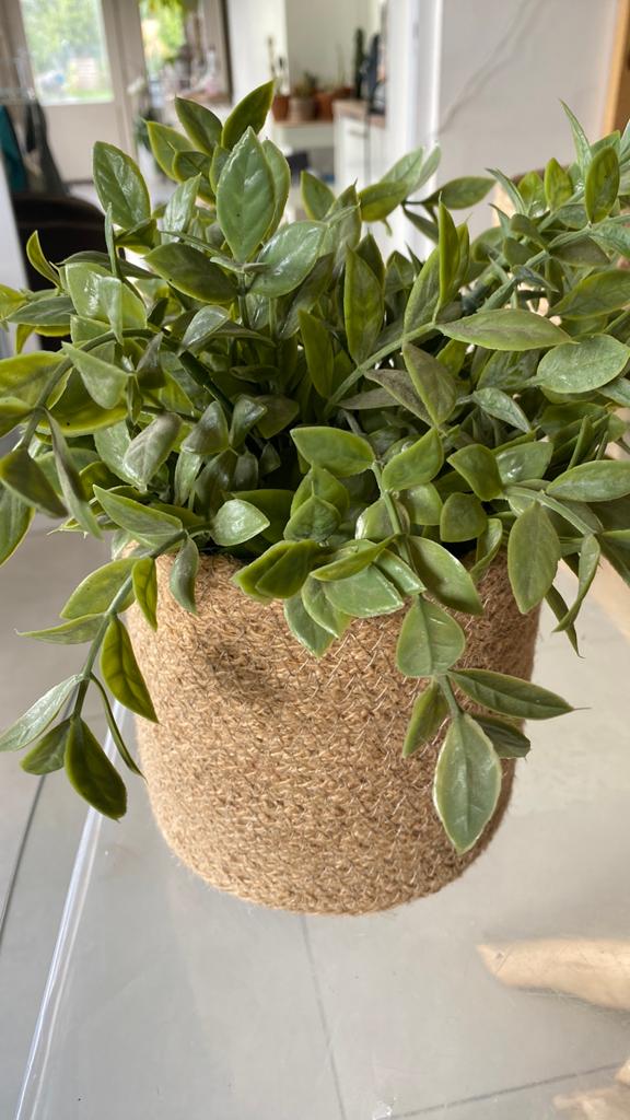 Plante artificielle, Maison & Meubles, Enlèvement