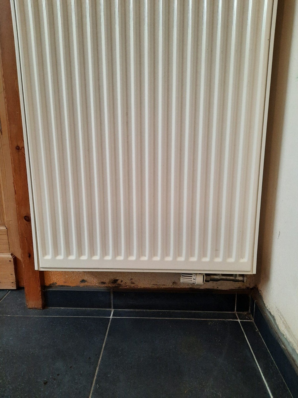 Radiator (centrale verwarming), Doe-het-zelf en Bouw, Ophalen