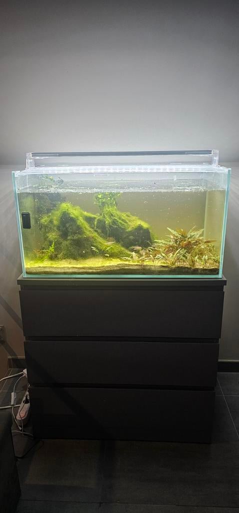 Superfish scaper 140 compleet!, Dieren en Toebehoren, Ophalen, Pomp, Superfish