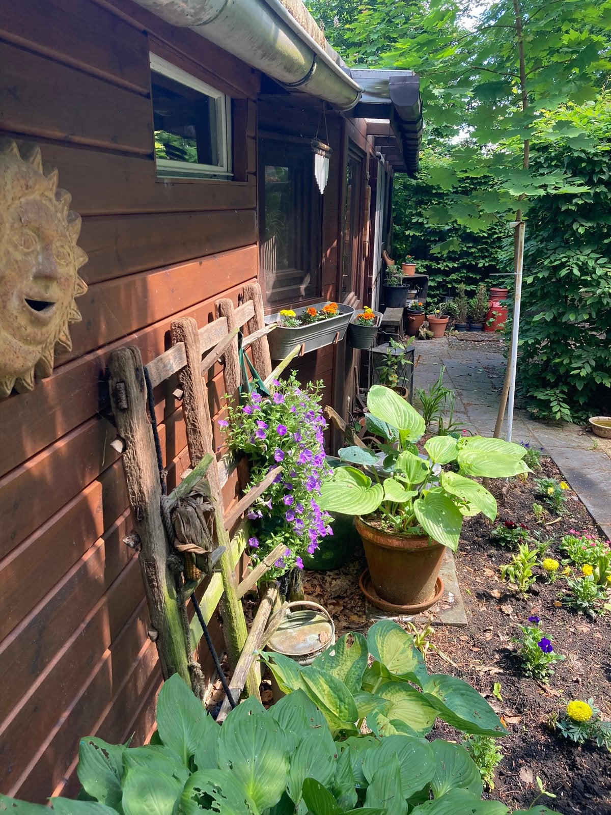 Bungalow te huur, Immo, Overige soorten, Direct bij eigenaar, 80 m², Provincie Antwerpen