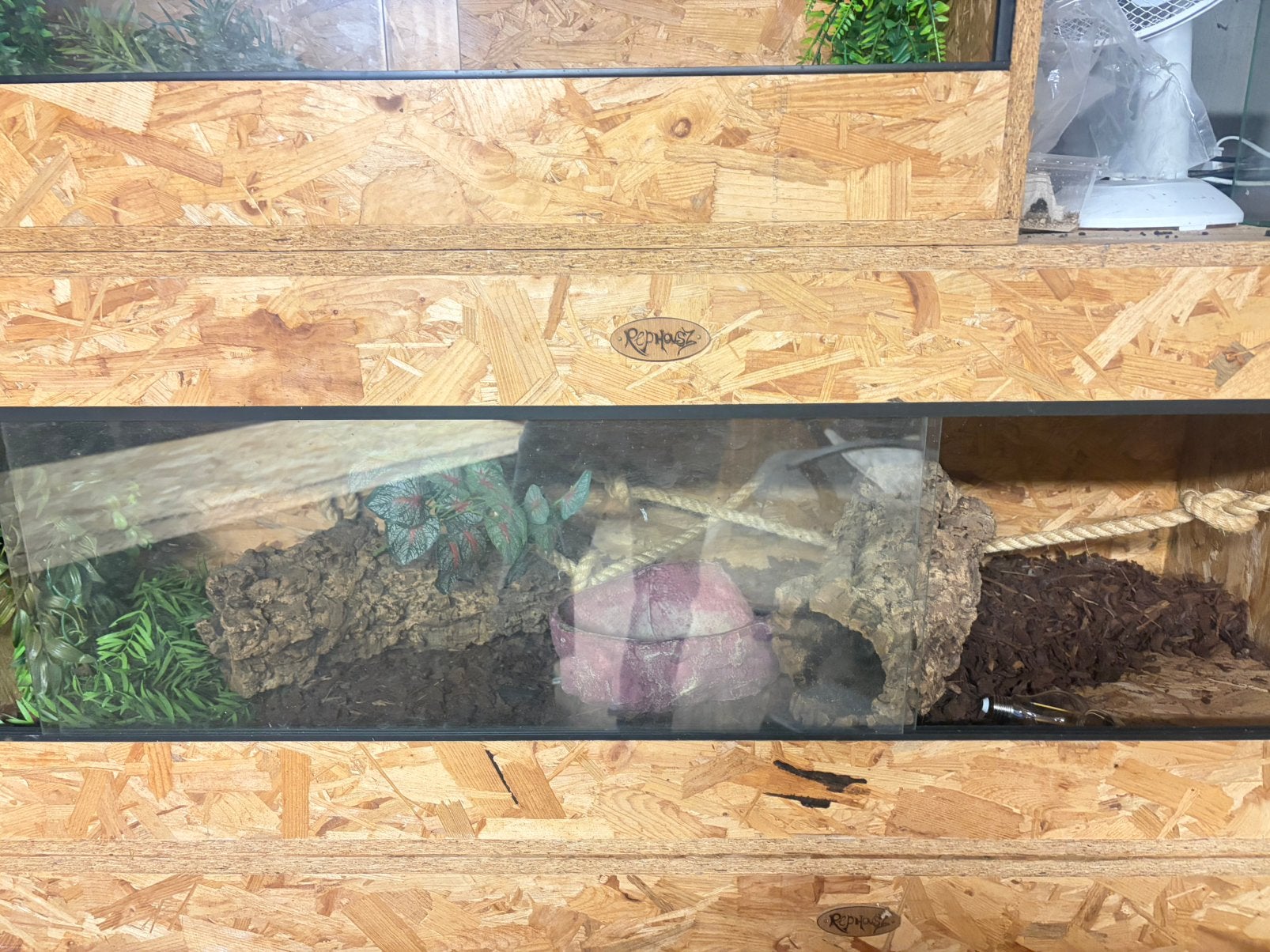 Leeg terrarium, Dieren en Toebehoren, Ophalen, Zo goed als nieuw