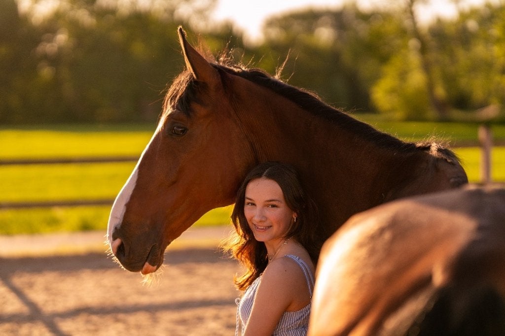 Verzorgpaard/halfpension, Dieren en Toebehoren, Paarden, Springpaard, Met stamboom, Ruin, Niet van toepassing