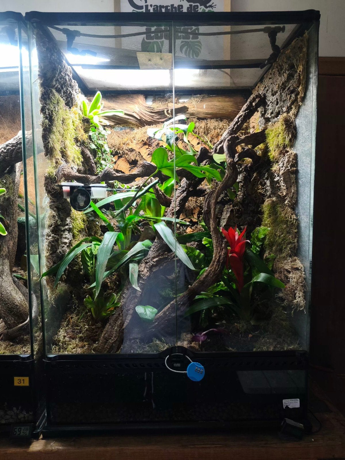 Exo Terra Jungle Mood Bio-actief met Leachianus Pine Island, Ophalen, Zo goed als nieuw, Terrarium of Paludarium