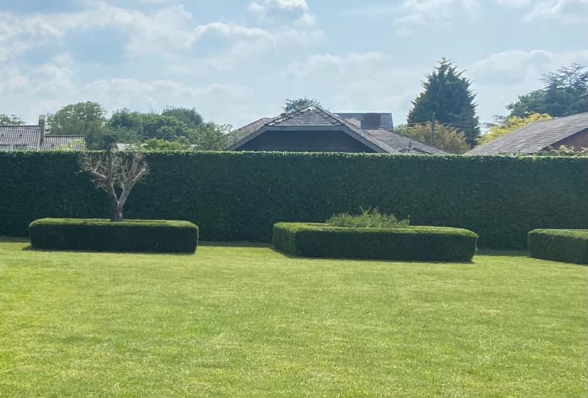 Tuinman, Ophalen, Zo goed als nieuw