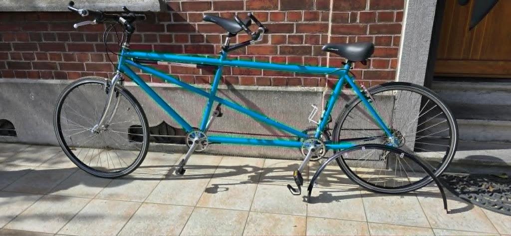 Tandem, Vélos & Vélomoteurs, Vélos | Tandems, Enlèvement, Utilisé, Plus de 20 vitesses, Frein sur jante