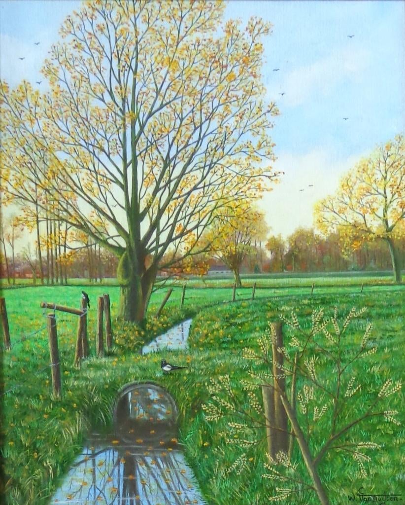 W. VAN BUYTEN / KOUTER HAMME / OLIEVERF DOEK / 75x65cm KADER, Enlèvement