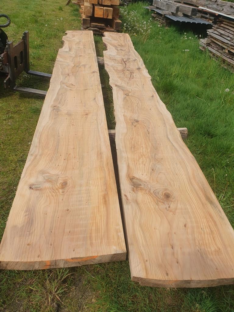 Schaaldelen Himalaya Ceder, Ophalen, Nieuw, 250 cm of meer, Overige typen