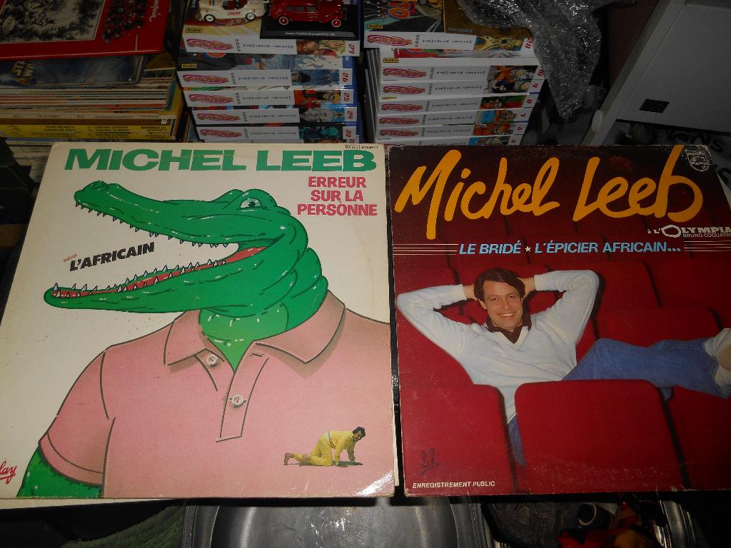 Lot de 2 Michel Leeb 33T, Cd's en Dvd's, Vinyl | Overige Vinyl, Ophalen of Verzenden