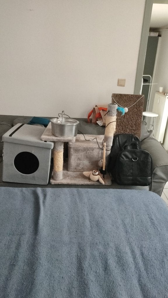 Lot accessoires chat  Fontaine  arbre sac griffoir, Enlèvement, Comme neuf