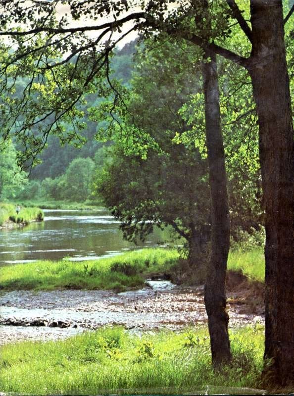 Natuur en vogelreservaten van België  Deel 4 Ardennen, Enlèvement ou Envoi, Utilisé, Artis historia, Livre d'images