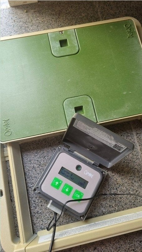 porte intelligente automatique omlet, Dieren en Toebehoren, Pluimvee | Toebehoren, Ophalen of Verzenden, Gebruikt, Overige typen