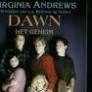 Dawn het geheim Virginia Andrews 271 blz, Enlèvement ou Envoi, Comme neuf