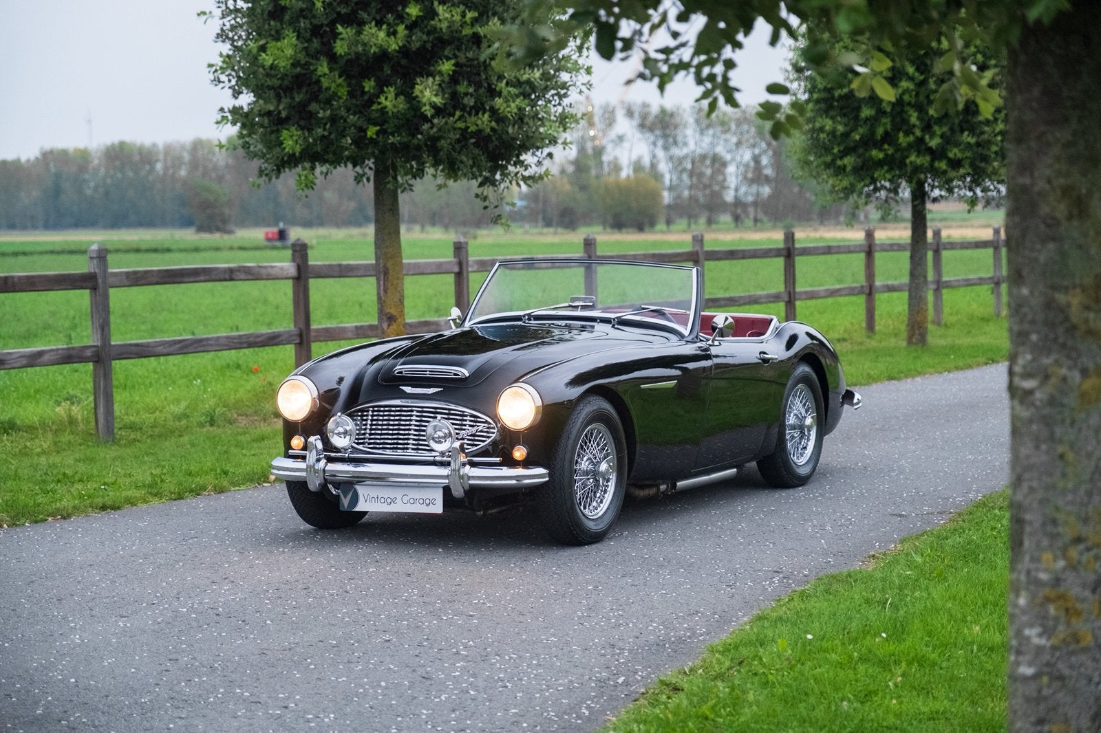 Austin Healey 3000 - 1960, Auto's, 4 zetels, Achterwielaandrijving, Beige, Cabriolet