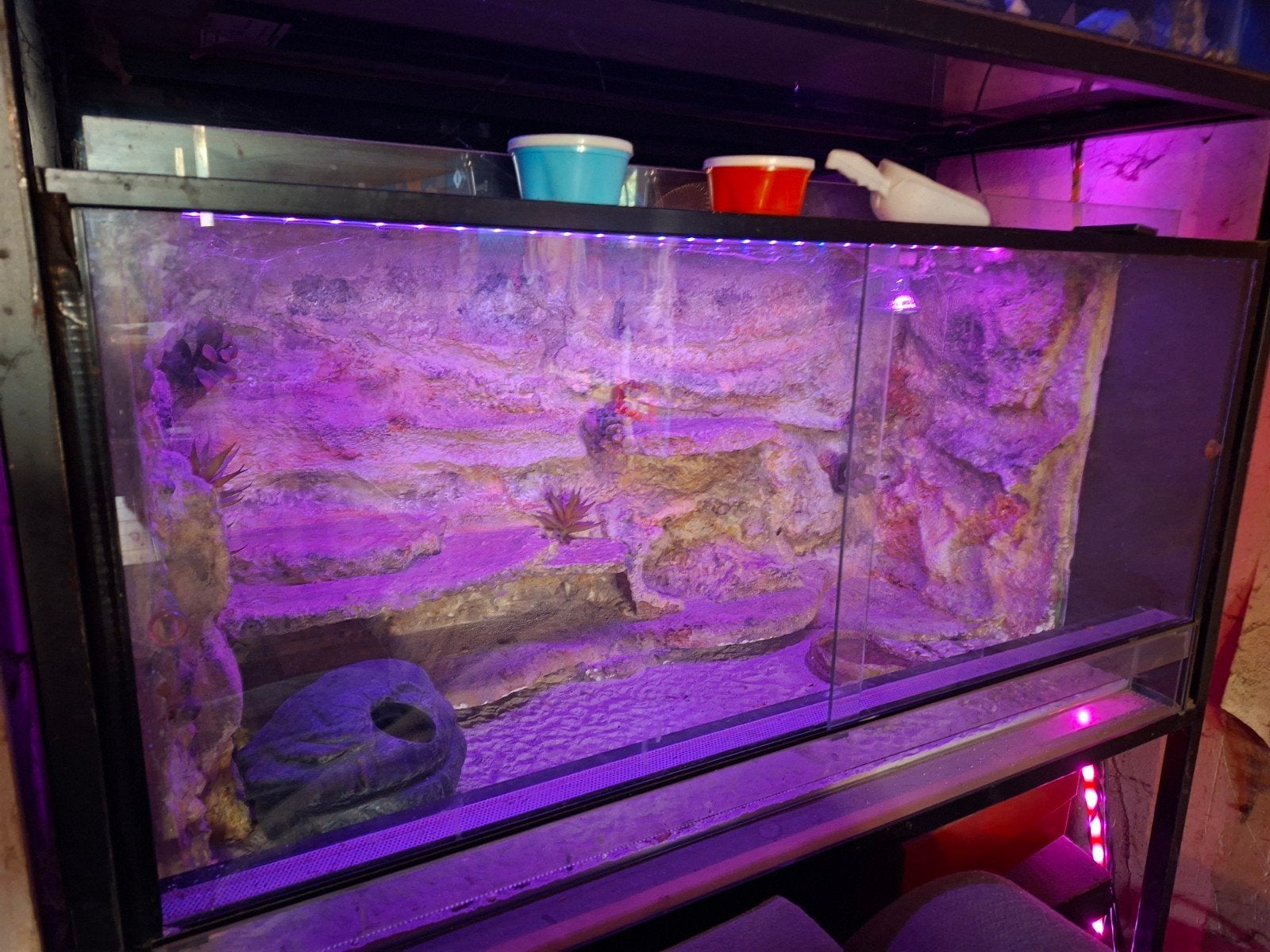 terrarium, Ophalen