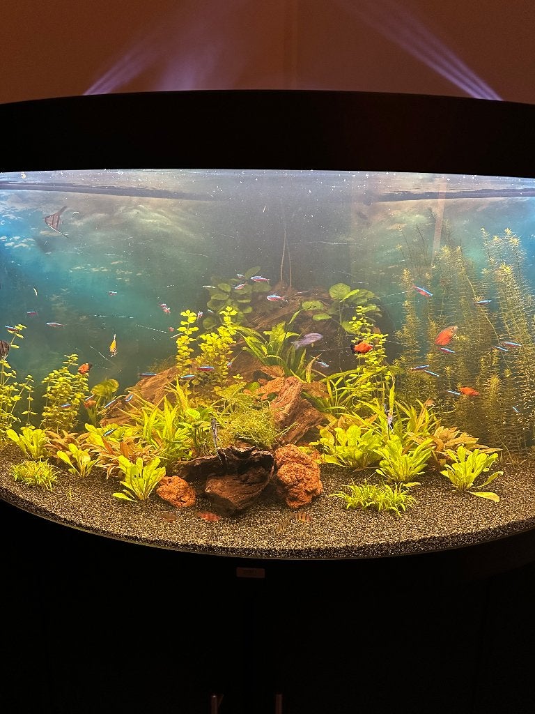 Overcomplete trigon 350, Ophalen, Gebruikt