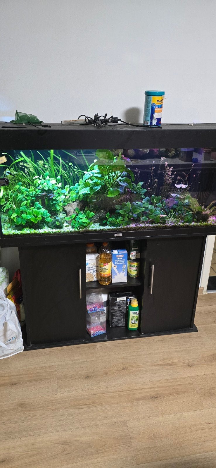 Aquarium 500€, Dieren en Toebehoren, Vissen | Aquaria en Toebehoren, Ophalen of Verzenden