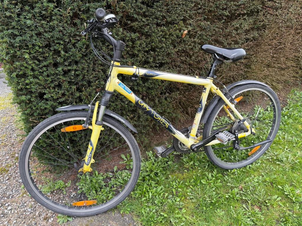 Mountainbike Gary Fisher, Fietsen en Brommers, Fietsen | Mountainbikes en ATB, Ophalen, Gebruikt, Hardtail, Heren