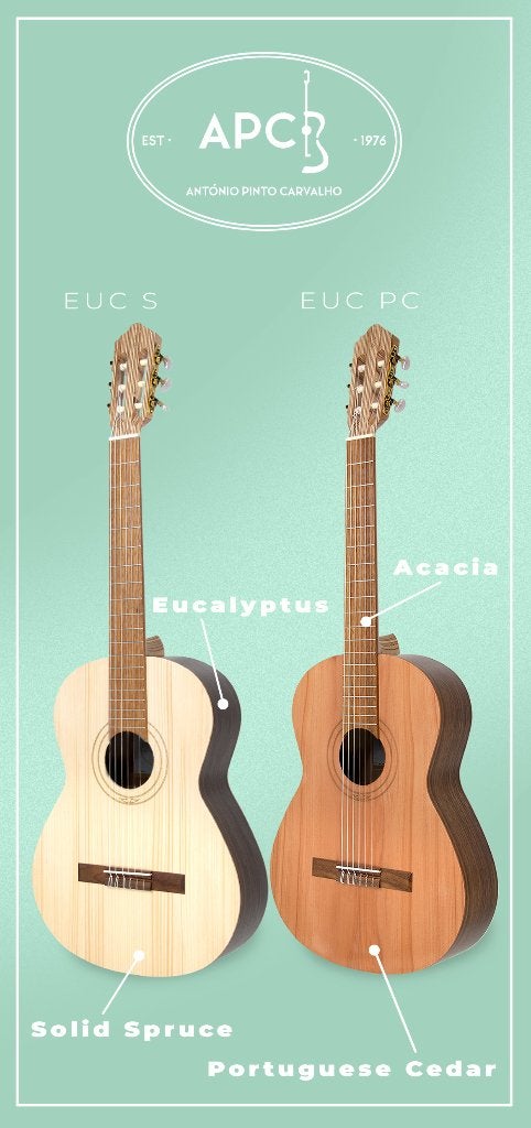 École de musique pour guitare classique taille 4/4 SOLID top, Musique & Instruments, Instruments à corde | Guitares | Acoustiques