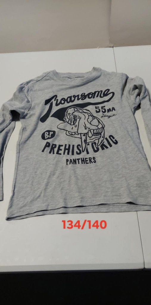 Jongen Longsleeves / schirts maat 134 aan 2 € stuk, Enlèvement, Comme neuf, Garçon, Chemise ou À manches longues
