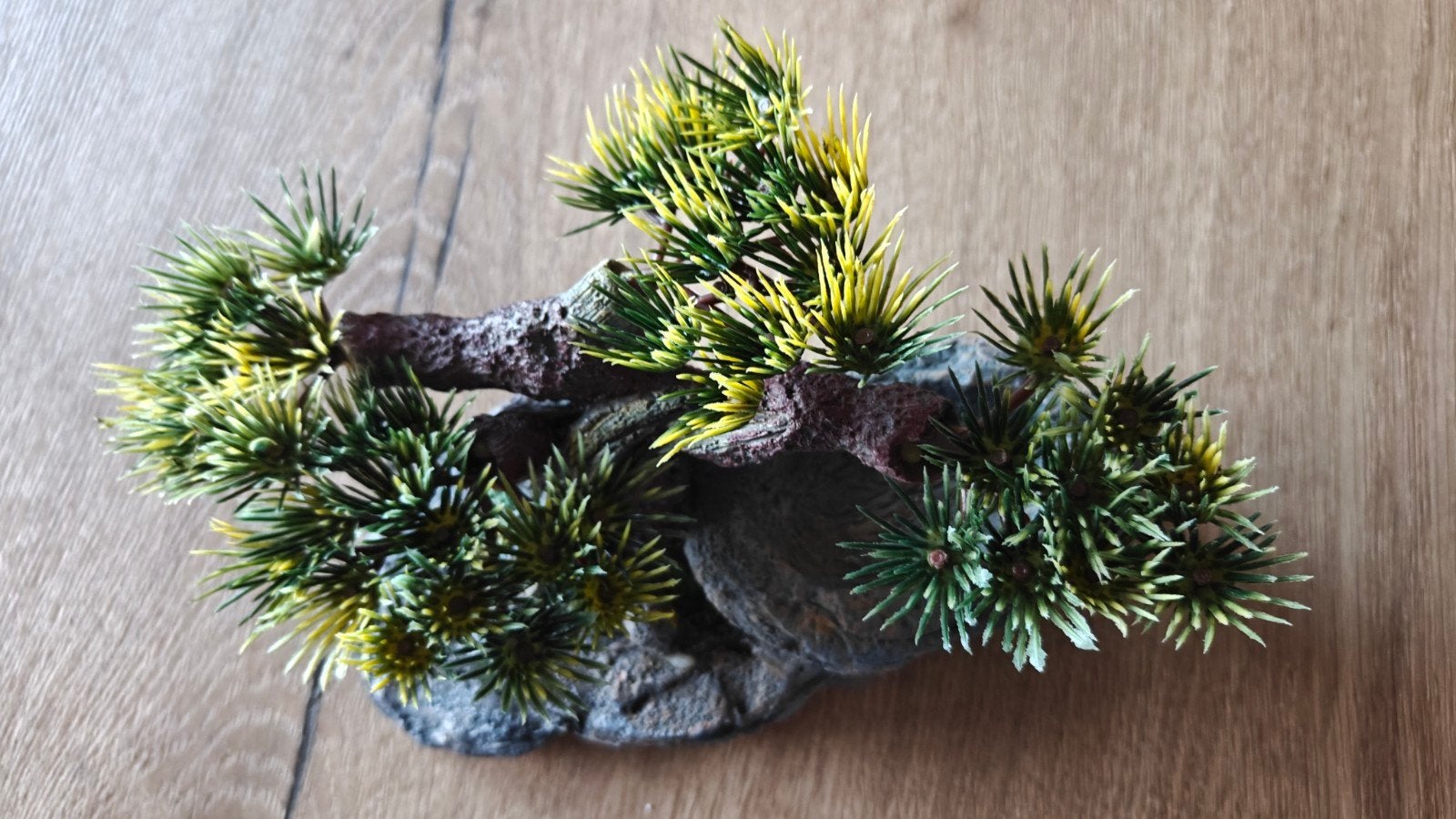 Bonsai boompje nieuw, Dieren en Toebehoren, Ophalen
