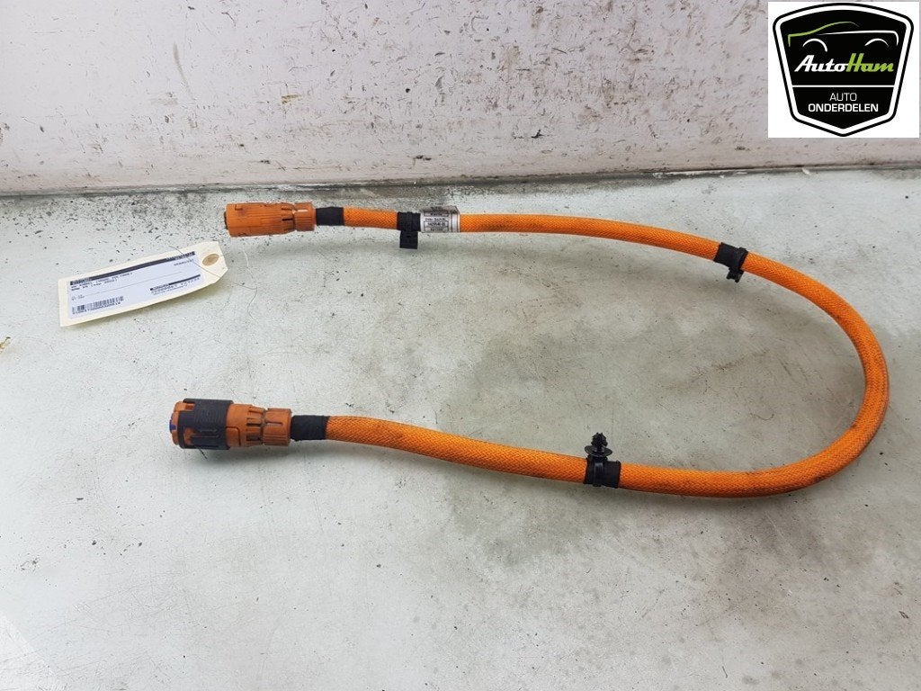 CÂBLE HT (HAUTE TENSION) BMW X5 (G05) (01-2018/03-2023), Dhr. J. Ham, Administratie@autoham.nl, Utilisé, BMW