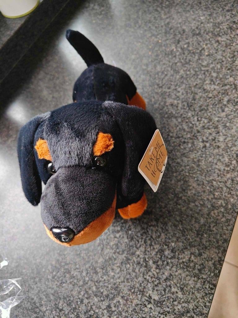 Take Me Home Teckel zwarte Knuffel 33 cm – Nieuw, Ophalen, Nieuw, Hond