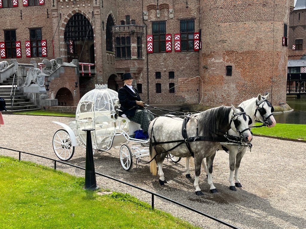 Tweespan Welsh A pony’s, Dieren en Toebehoren, Merrie, Met stamboom, Zadelmak, A pony (tot 1.17m)