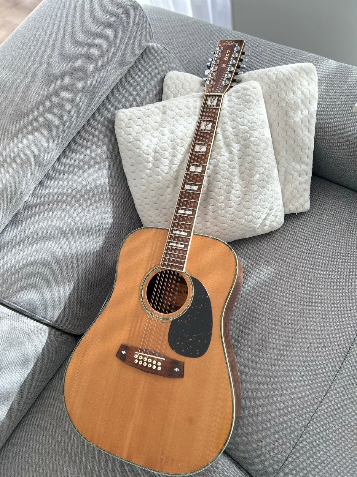 ARIA PRO II PW-65-12 1980 (12string), Enlèvement, Utilisé, Guitare Western ou Guitare Folk, 12 cordes