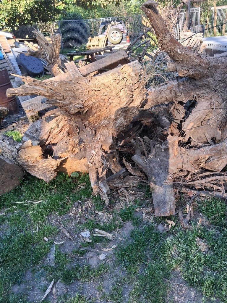 Gratis hout, Tuin en Terras, Brandhout, Ophalen