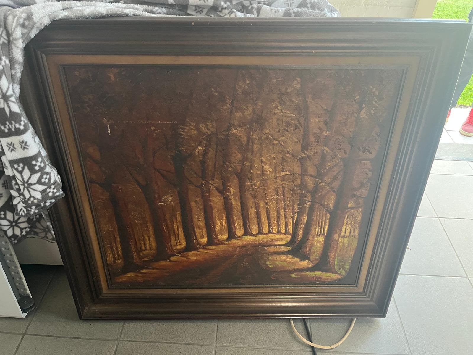2 schilderijen te koop., Ophalen