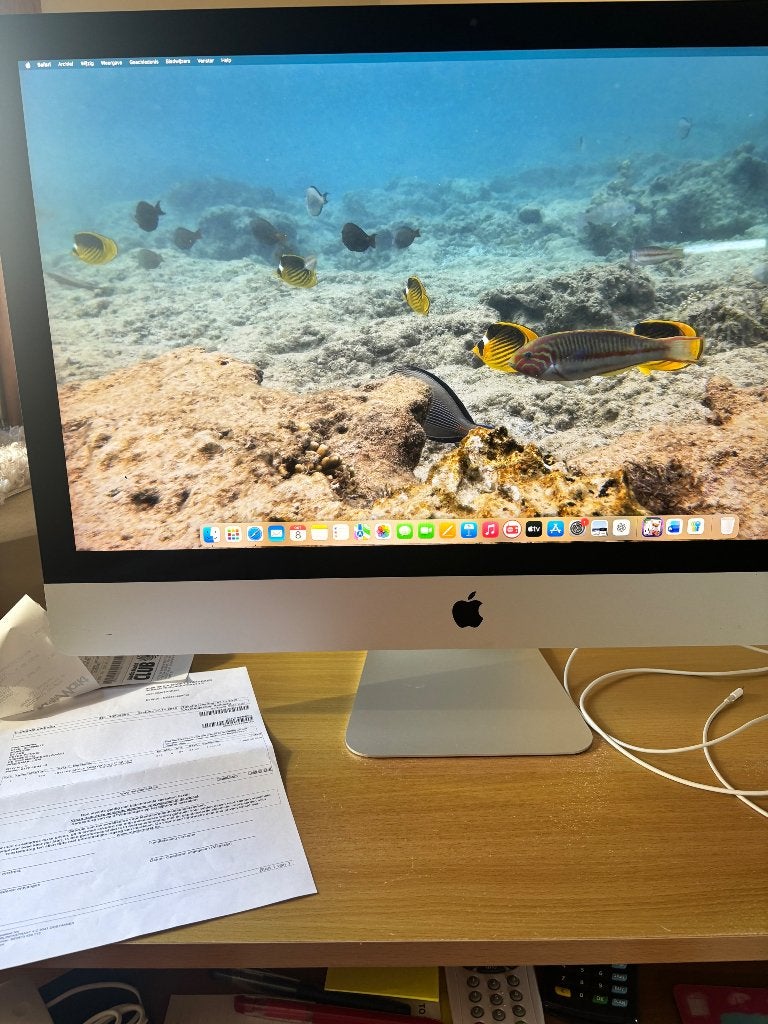 Apple iMac Pro 2019 27 inch, Computers en Software, Ophalen, Gebruikt, IMac, 27 inch