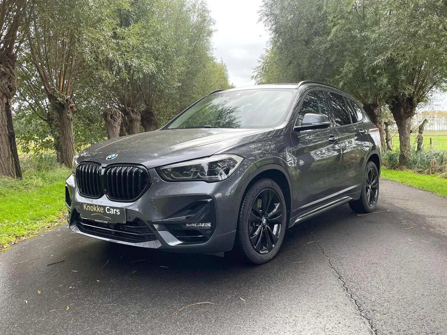 BMW X1 Plug in Hybrid,X-Drive 25e Sportline,Sportzetel,Parke, Auto's, https://public.car-pass.be/vhr/dff1aee6-c649-42a0-ad72-4e0d52608162