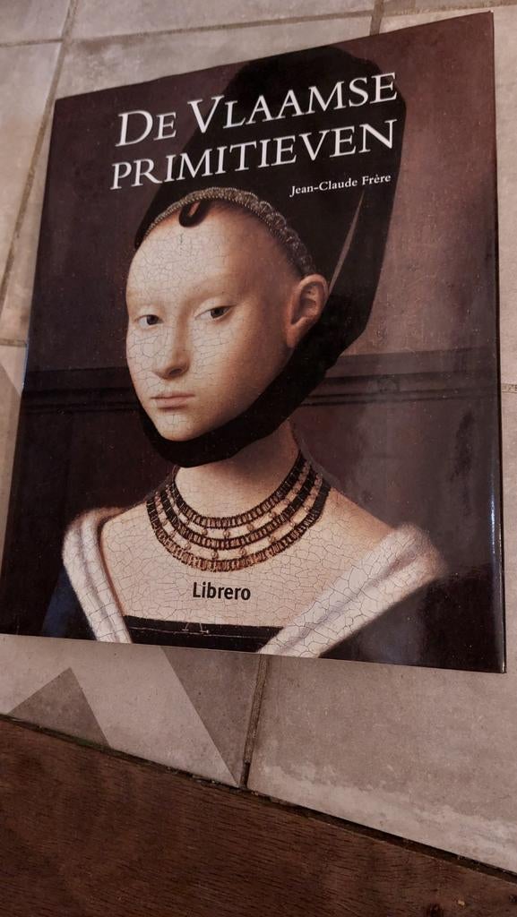 De Vlaamse primitieven, Boeken, Kunst en Cultuur | Beeldend, Ophalen of Verzenden