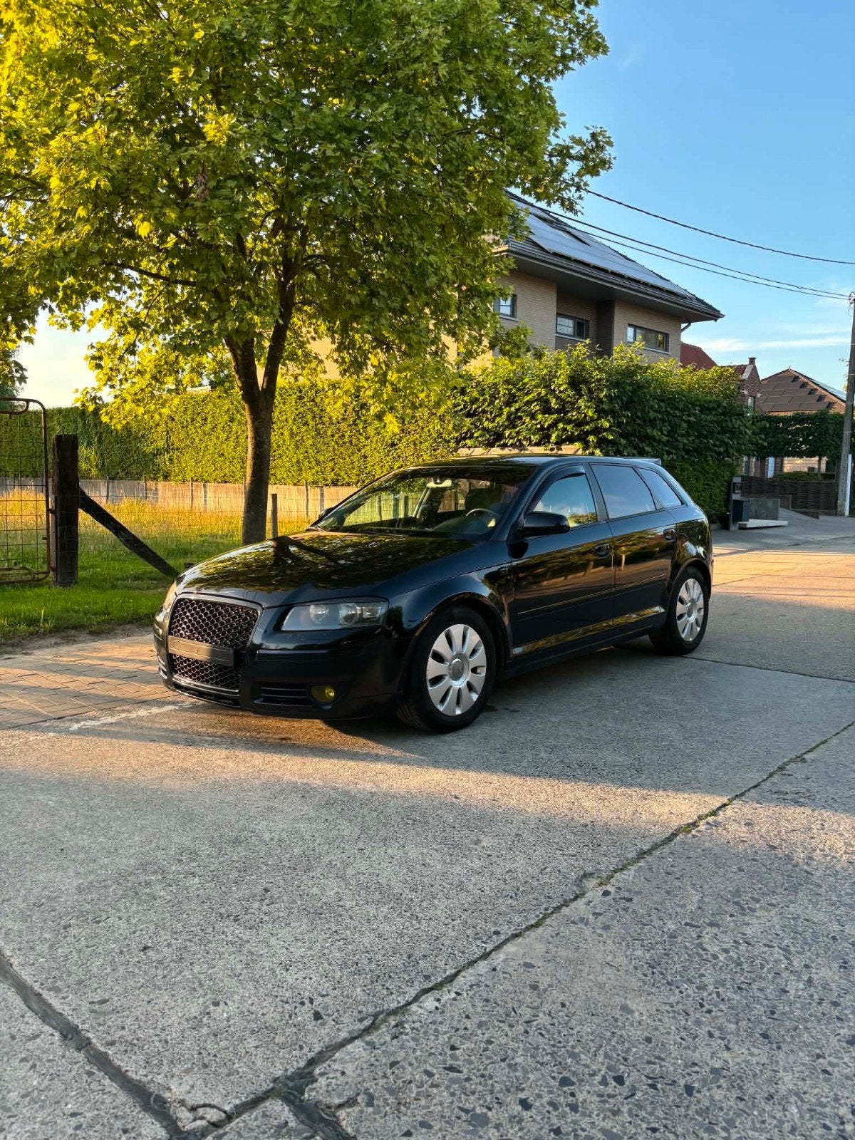 Audi A3 8P 2L TDI 2006, Achat, Beige, Boîte manuelle, 5 portes