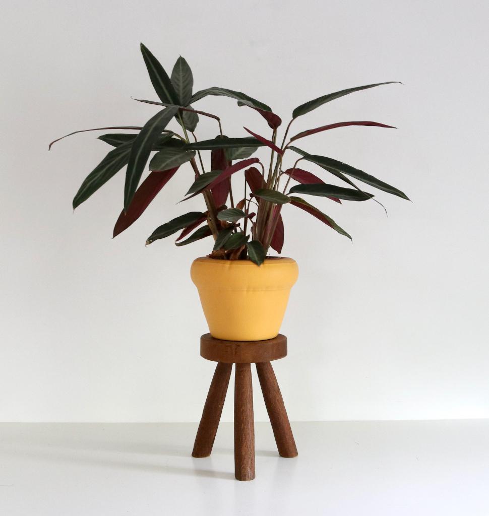 Vintage melkkrukje - Oud houten plantentafeltje, Antiek en Kunst, Ophalen of Verzenden