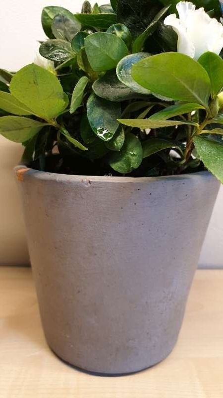 Bloempot, steen, grijs, hoogte 12cm, binnen diamete 10,5cm, Tuin en Terras, Bloempotten, Ophalen, Steen, Binnen