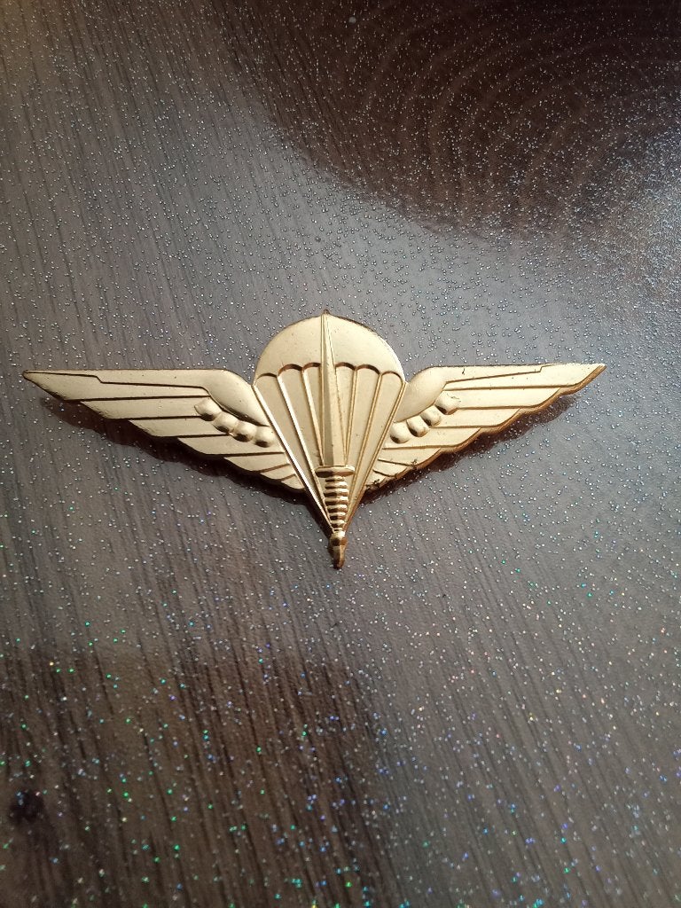 Insigne de béret para commando belge en bronze, Collections, Envoi