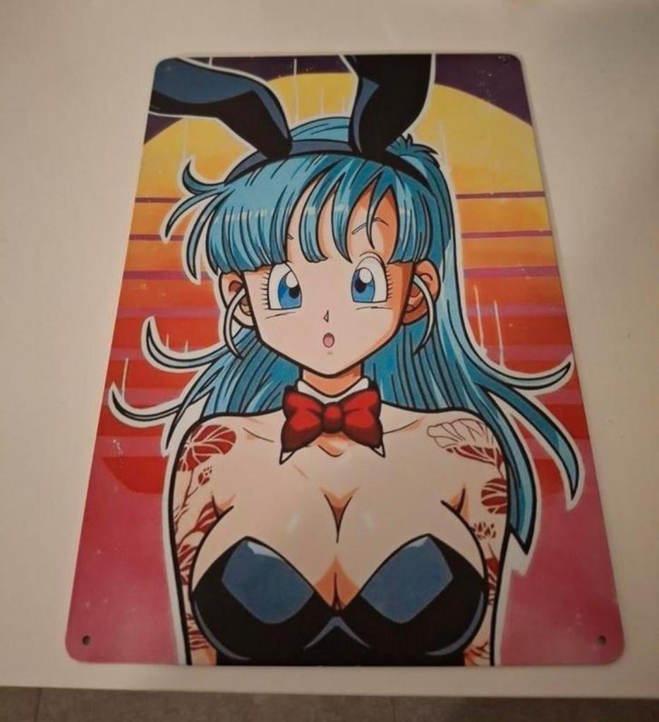 Plaque décorative en métal Bulma, Enlèvement, Métal