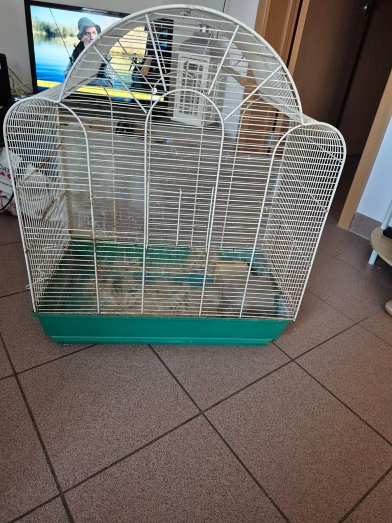 Gravde cage manque des barreaux mes avec accessoires 10 euro, Enlèvement ou Envoi
