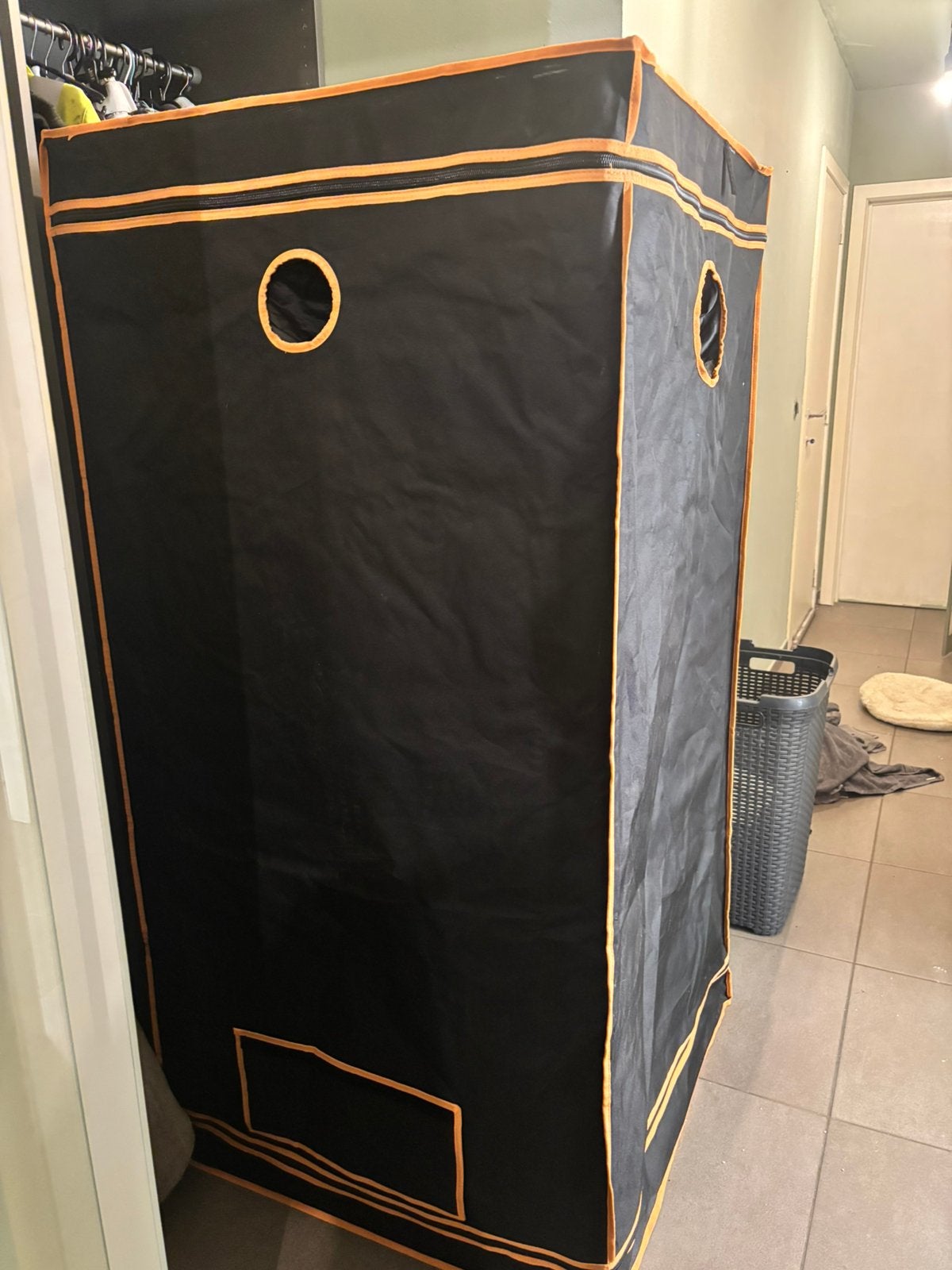 Kweektent 80x80x160cm, Jardin & Terrasse, Enlèvement, Neuf, Tente de culture
