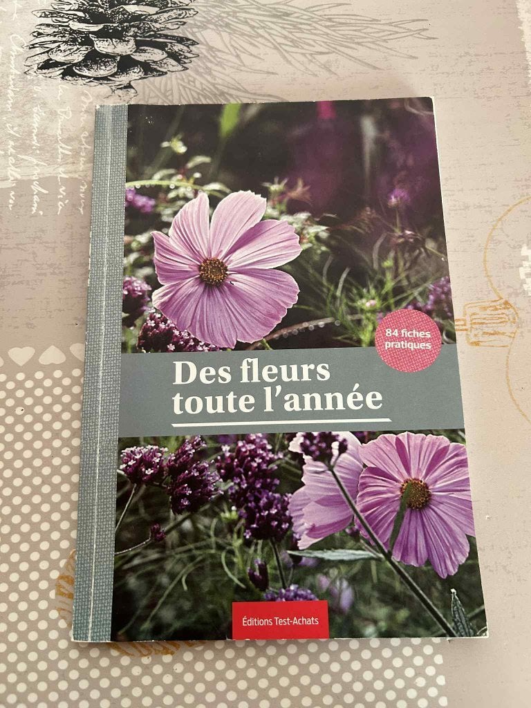Des fleurs toute l’année + 84 fiches pratiques, Livres, Enlèvement, Utilisé, Fleurs, Plantes et Arbres, Nicole Burette
