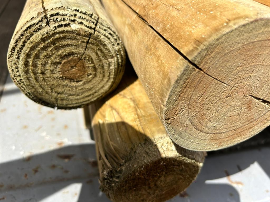 Palen rond 1m, Tuin en Terras, Palen, Balken en Planken, Ophalen, Zo goed als nieuw, Palen