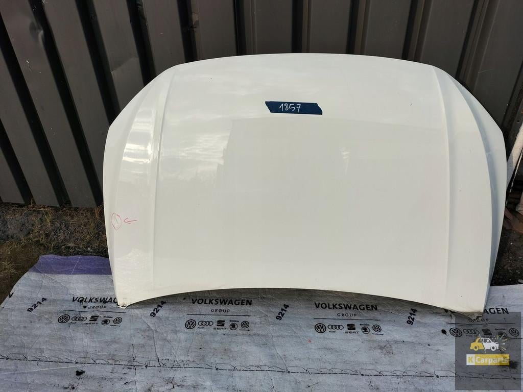 2G0823155G, VW POLO 2G MOTORKAP VOOR, Gebruikt, Volkswagen, Volkswagen AG, Vw@volkswagen.de