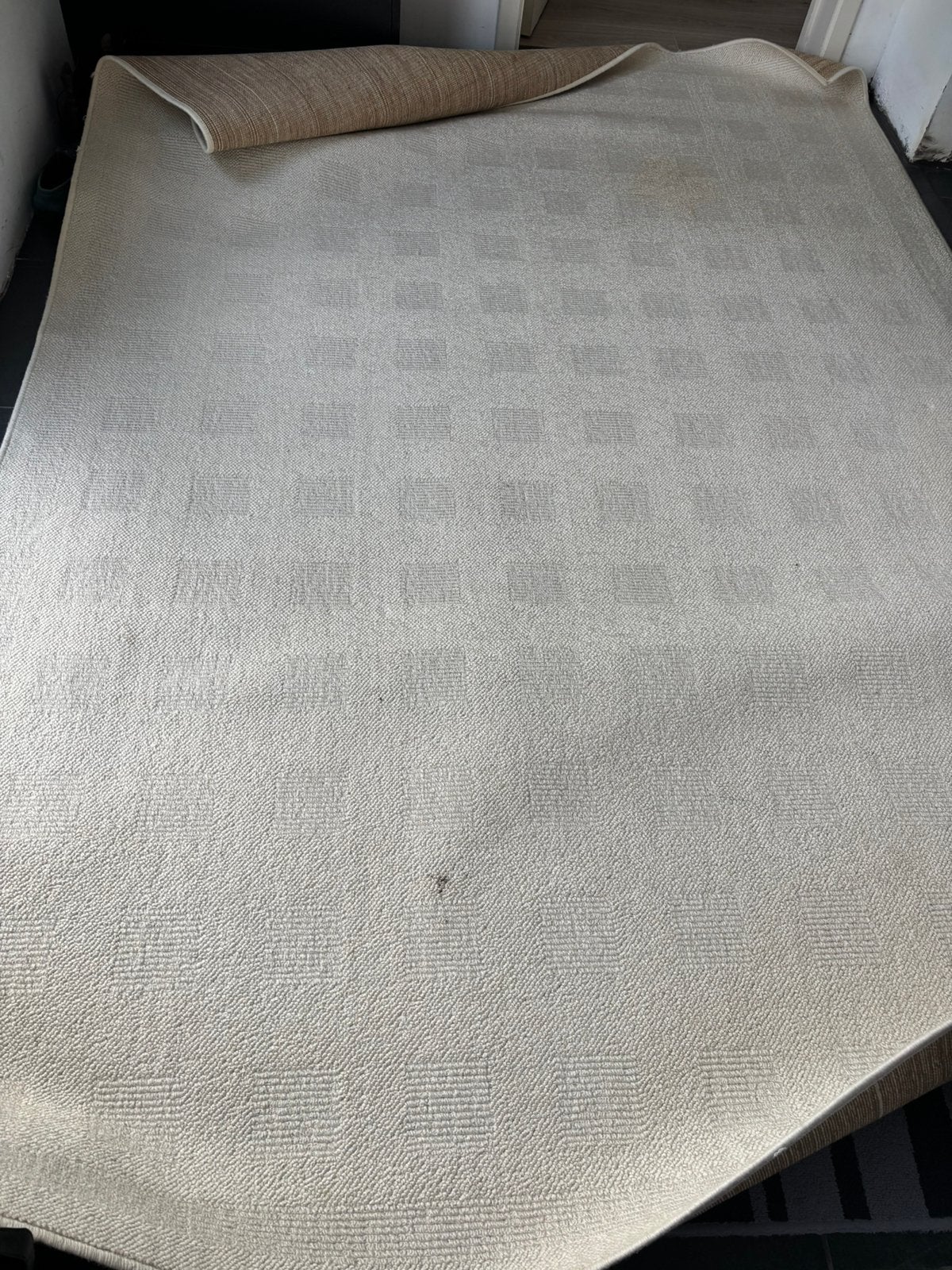 Wollen tapijt, Huis en Inrichting, Ophalen, Gebruikt, 200 cm of meer, 200 cm of meer