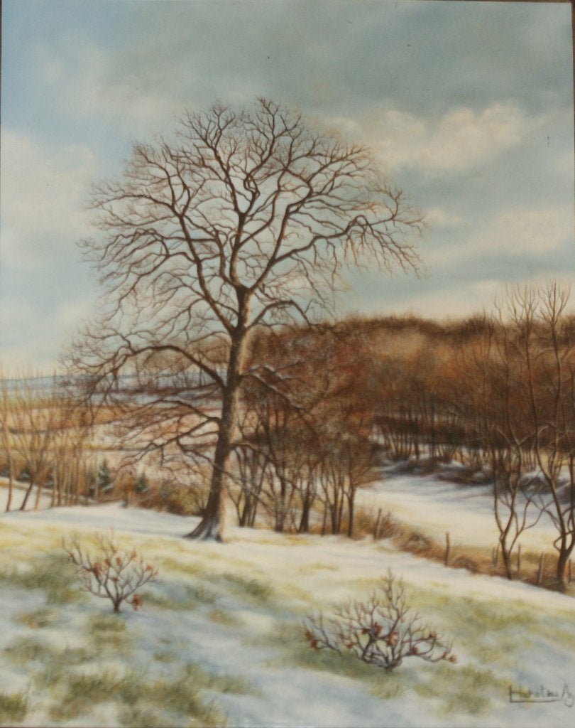 Agnès Hanotiau: Lumière de Janvier (33 x 39 cm), Enlèvement ou Envoi, Signé, Peinture à l'huile, Paysage