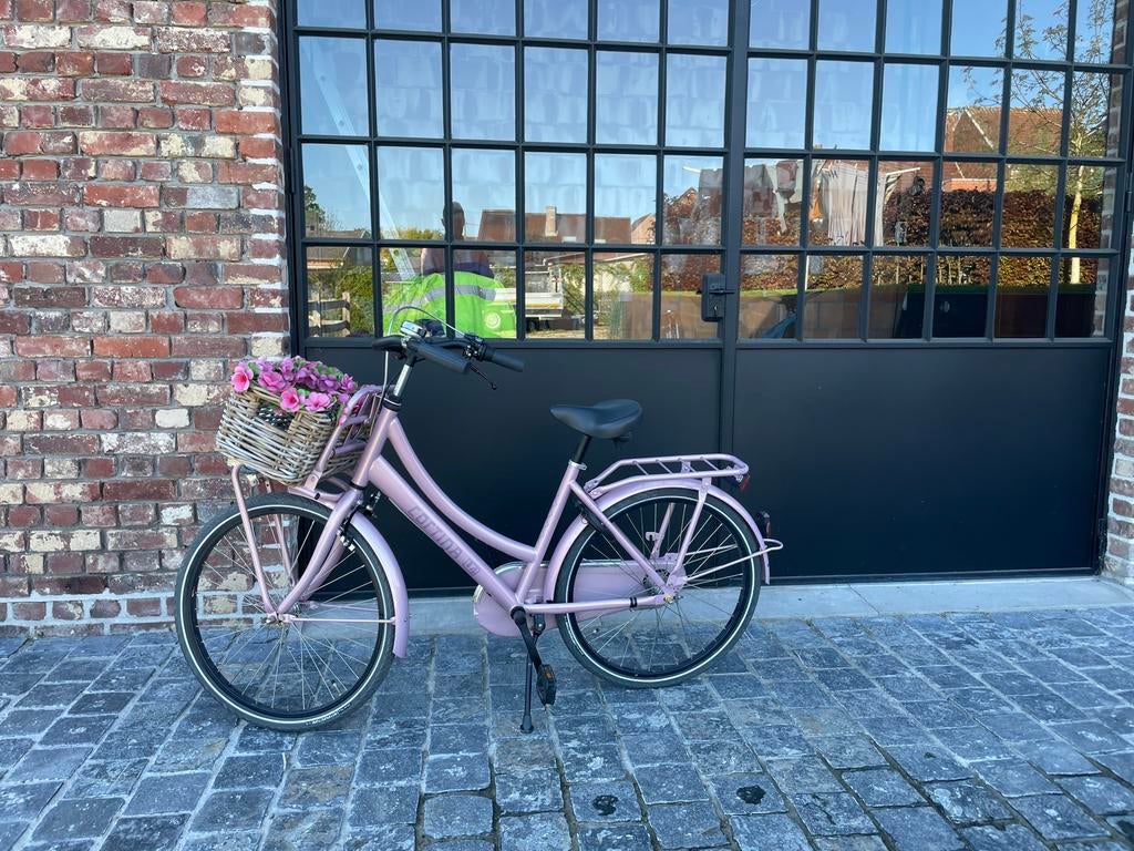 CortinaTransport U4 mini M24 inch Mahogany Rose, Fietsen en Brommers, Ophalen