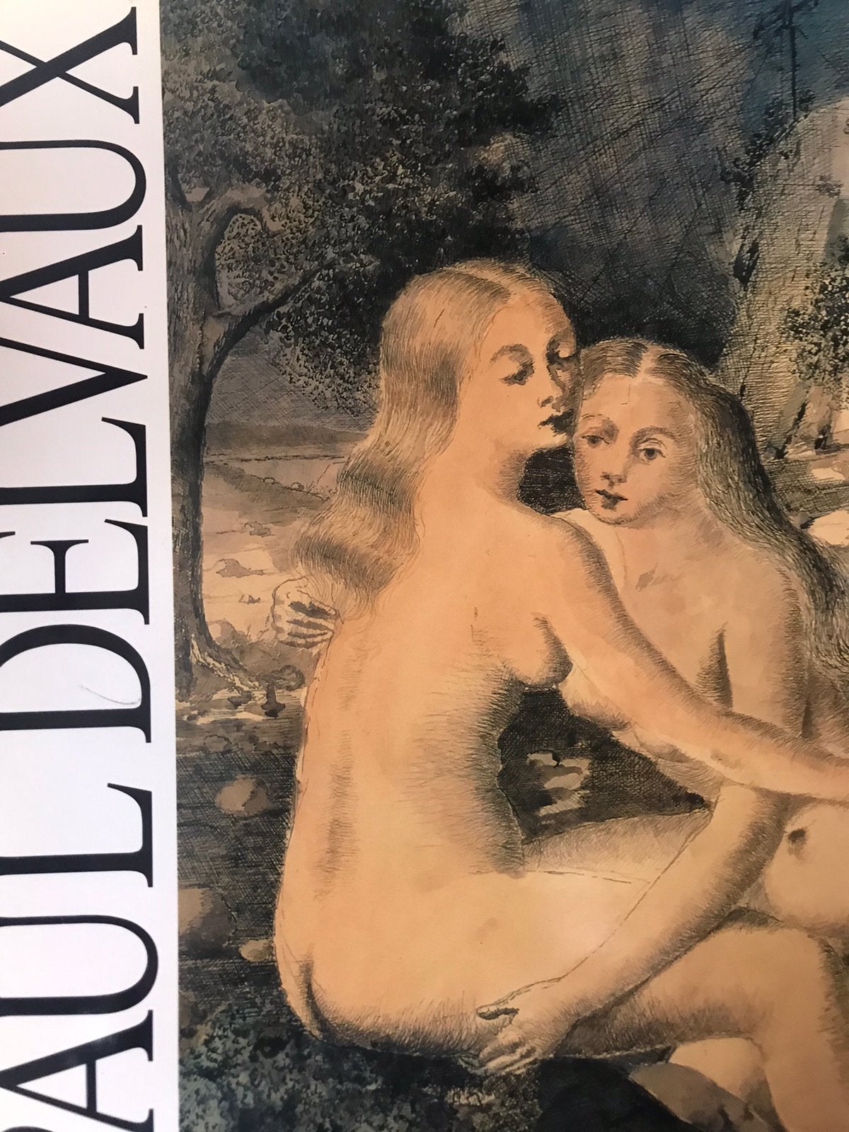 Paul Delvaux Collecions privés 100pag, Ophalen of Verzenden, Zo goed als nieuw, Schilder- en Tekenkunst