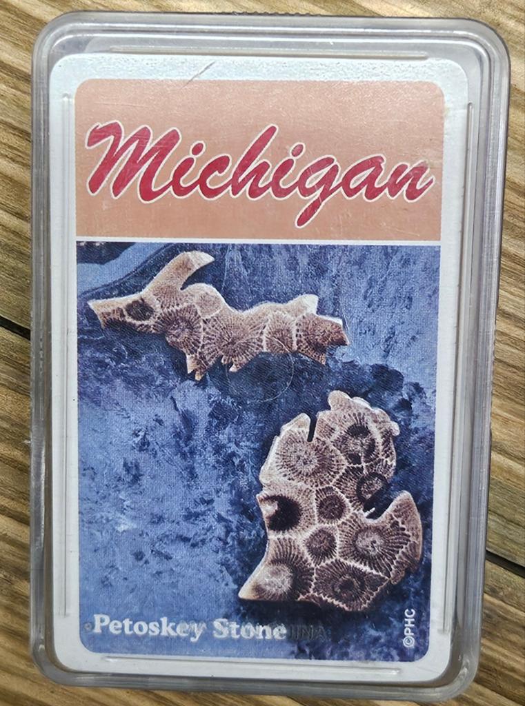 Michigan USA speelkaarten NIEUW
Dit is nieuwe ee, Ophalen of Verzenden, Speelkaart(en)